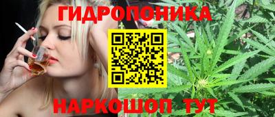 амф Гай