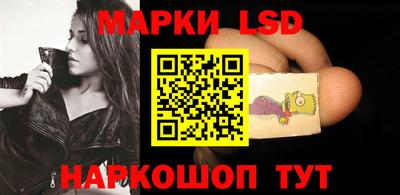 стафф Гатчина