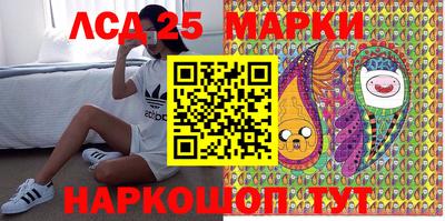 стафф Гатчина