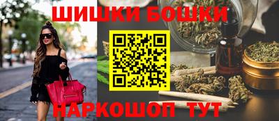 стафф Гатчина
