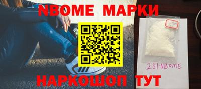 стафф Гатчина