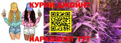 стафф Гатчина