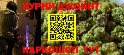 стафф Гатчина