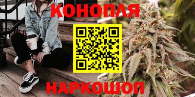 стафф Гатчина