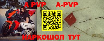 стафф Гатчина