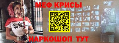 стафф Гатчина