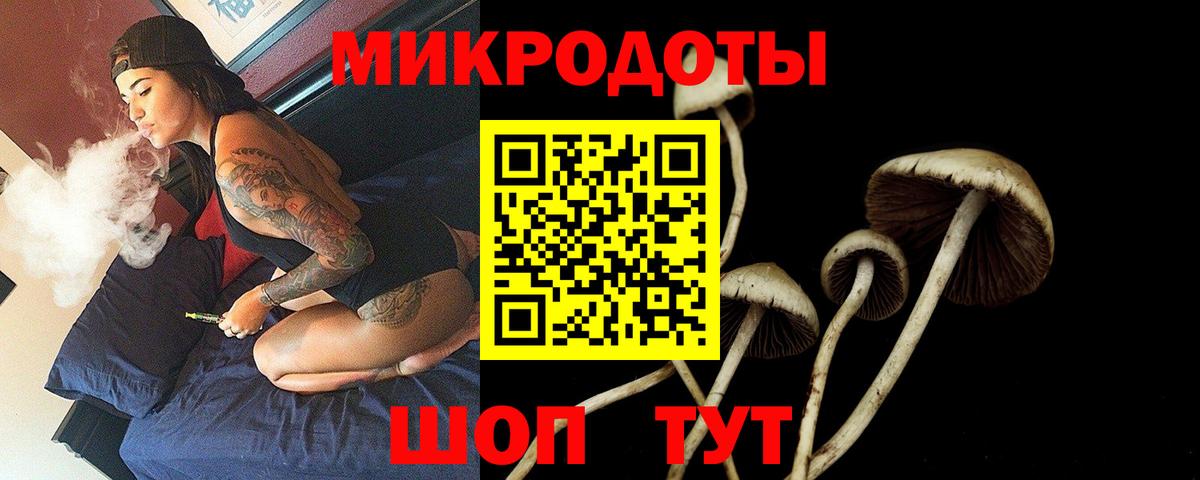 Галлюциногенные грибы ЛСД Ноябрьск