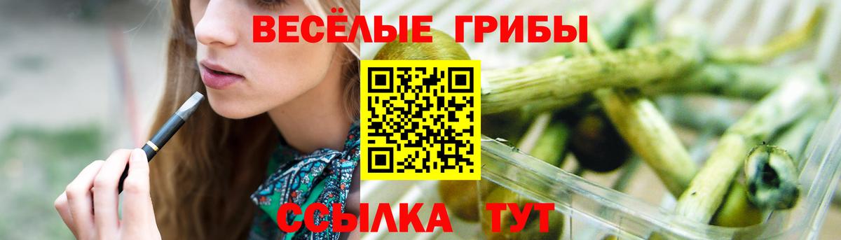 как найти   Галлюциногенные грибы Psilocybe  Вход с VPN  Ноябрьск  Галлюциногенные грибы MAGIC MUSHROOMS 