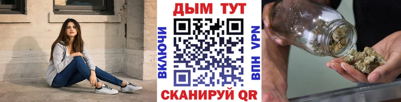 Бошки Шишки план Ноябрьск